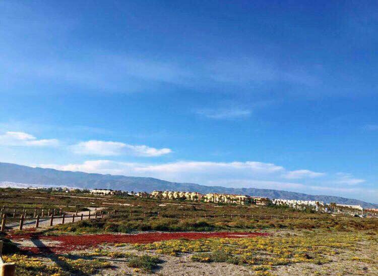 Appartement Lujo, Primera Linea Playa, Garaje, Wifi, Piscina Climatizada